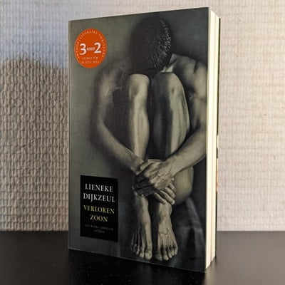 Cover van het tweedehands boek 'Verloren Zoon' door Lieneke Dijkzeul, getoond in 400x400 pixels.